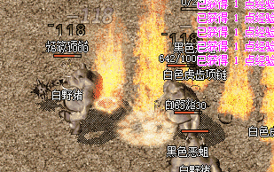 新开传奇sf网站